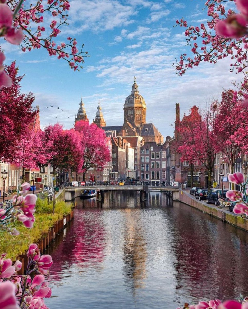 juliangleon's tweet image. 電車遅延のアナウンスを聞いて、今日も会社に遅刻しそうで憂鬱 🐔