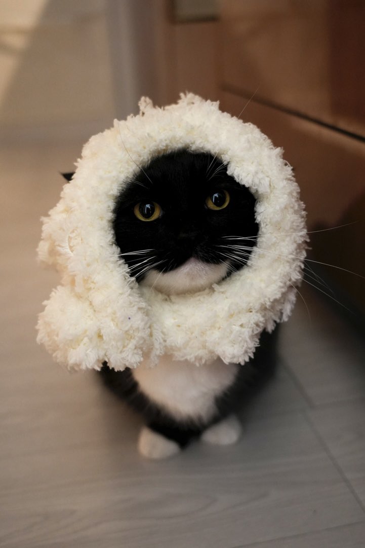 Are you staying warm?