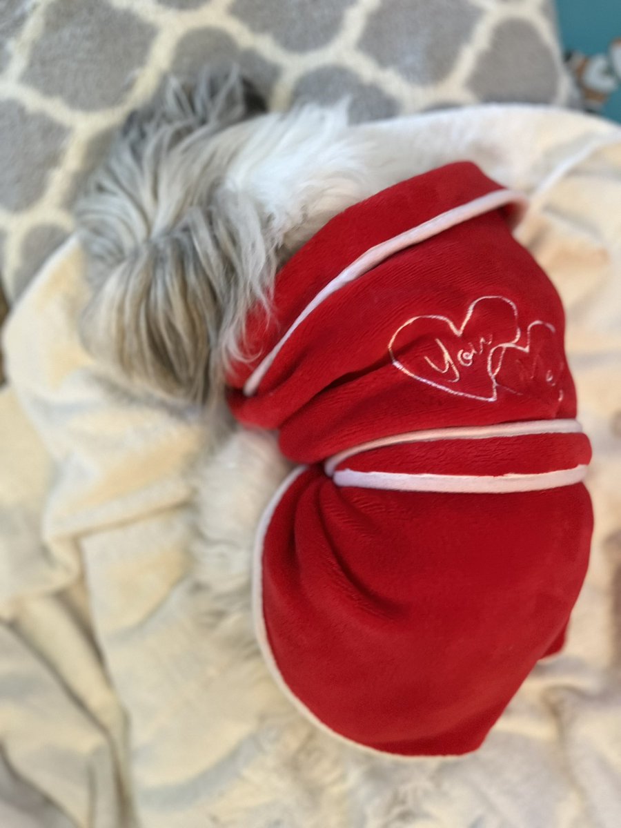 messagejulia's tweet photo. Who’s gonna be my valentine this year 2026 message me @messagejulia https://t.co/HpqttprAh1