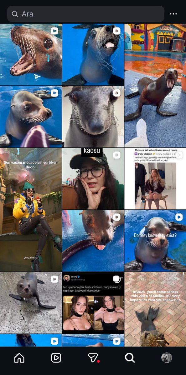 benim keşfetin güzellik