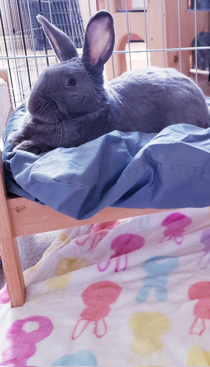 ttas's tweet image. Happy Sunday! We hope everyone is having a relaxing afternoon.