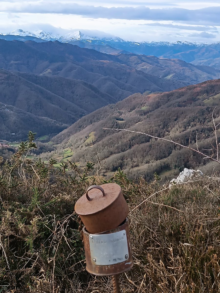 marigelastur's tweet photo. Picos Polio, Praucón, Espines, Felechosa, Cogollín, Pando y Las Cruces desde el Alto de la Faya https://t.co/lRi9nPbgD7