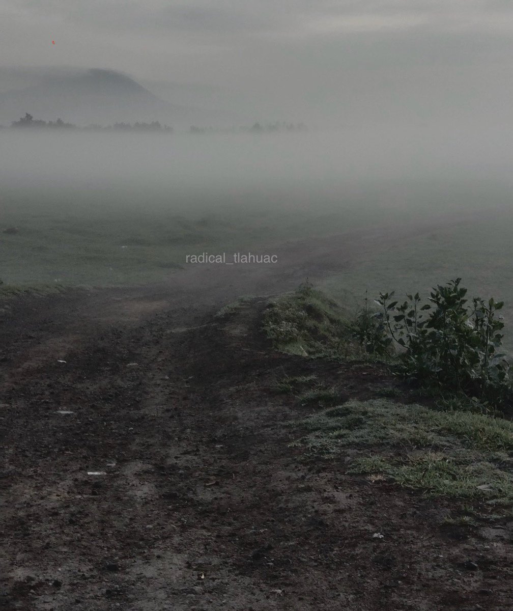 Hoy así se sintió el frío del amanecer en la zona lacustre de Tláhuac. 🚲🥶