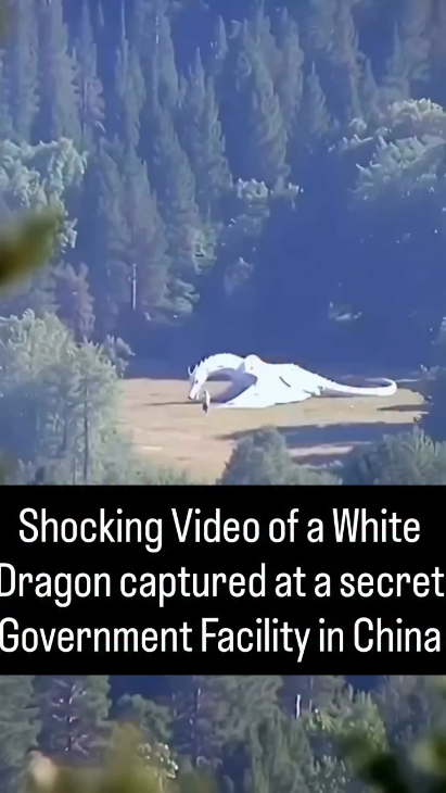 2Josher's tweet image. 