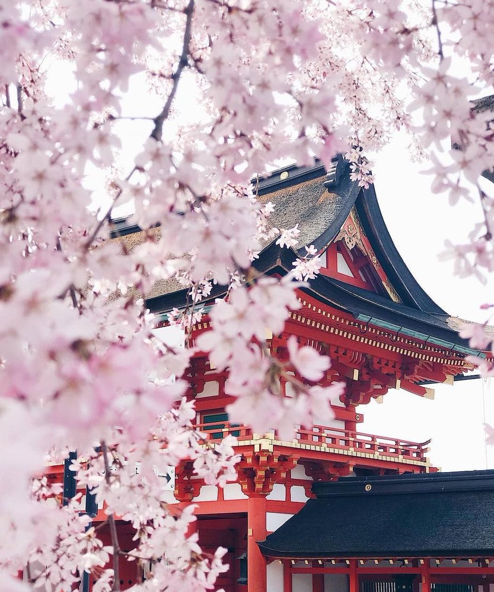 Azure76's tweet image. 今日は暑いから冷たいものが欲しい ⚡