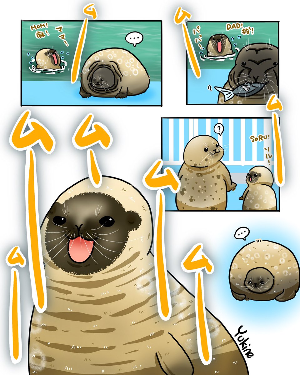 c201631's tweet image. この前のムームー姫とお部屋仲間たち

#ワモンアザラシ #アザラシ #ましろ #月