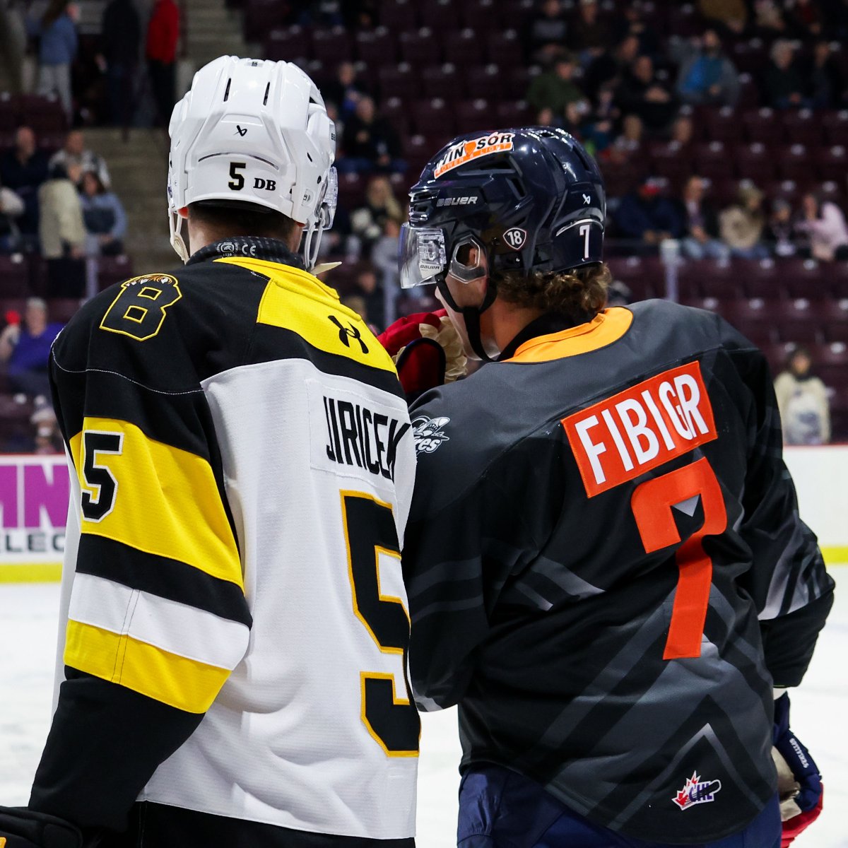 A pair of #WorldJuniors silver medalists are facing off in Windsor!🇨🇿