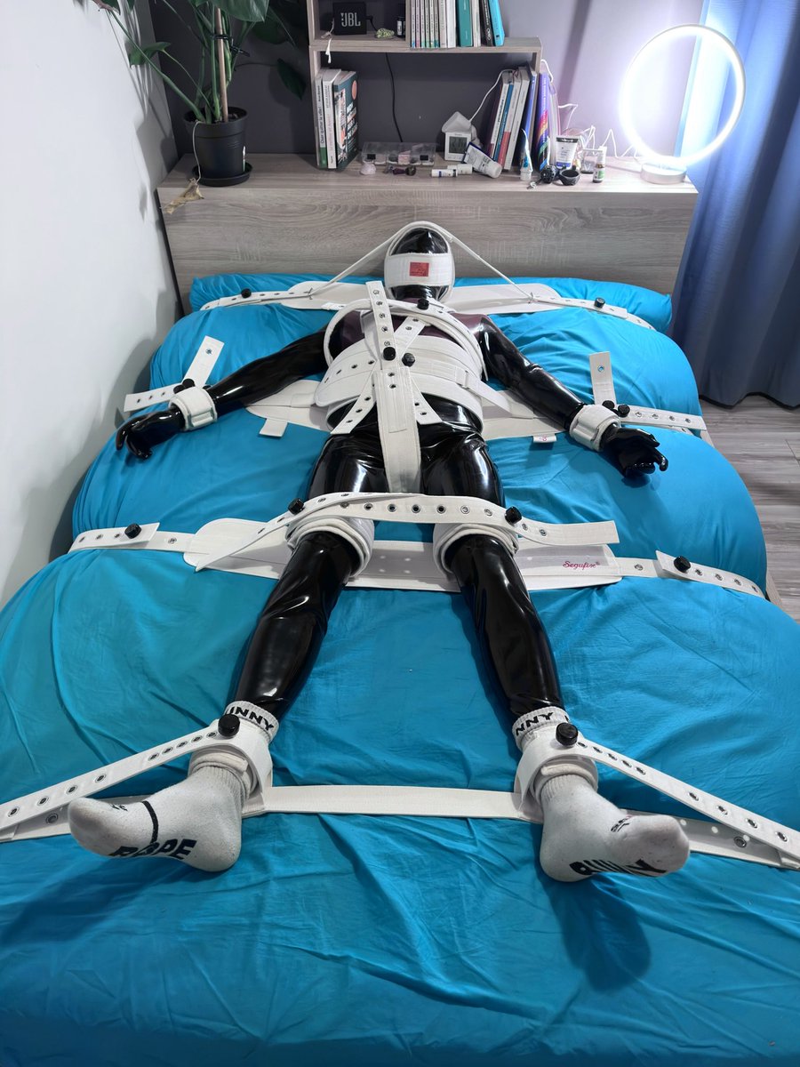 Vilhem 🐾 tweet media