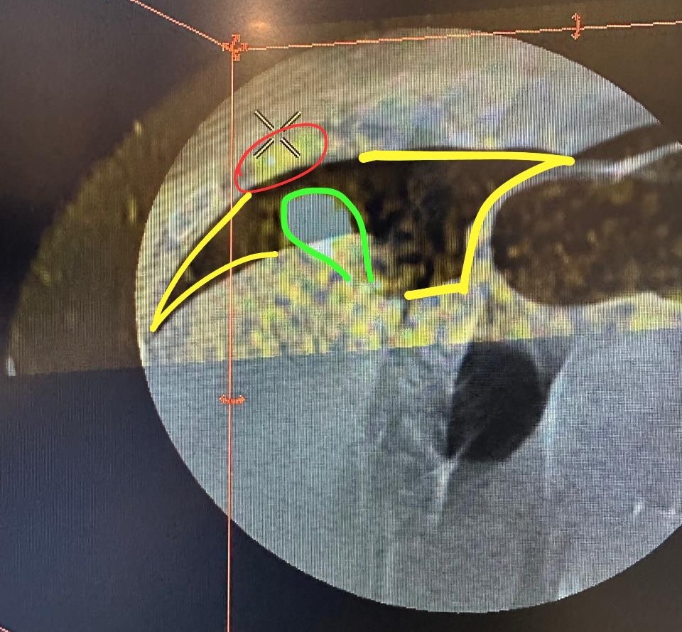 Mohammed Y. Alateeq | محمد بن يوسف العتيق tweet media
