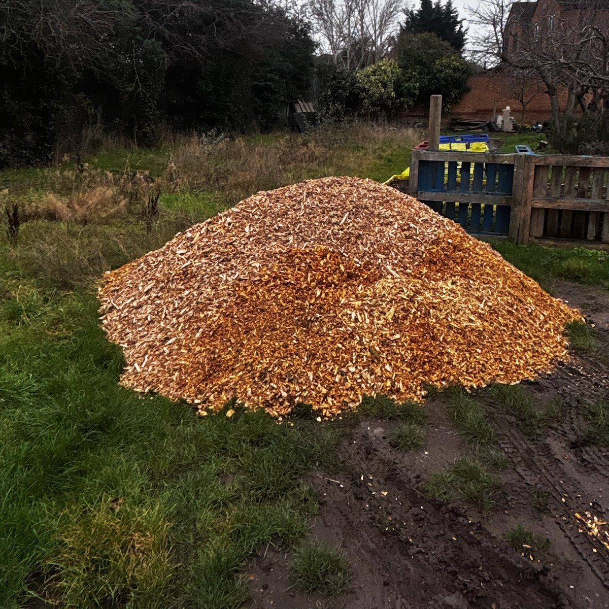 ᒪIᗩᗰ tweet media