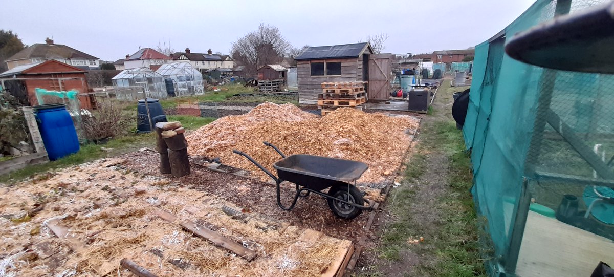 ᒪIᗩᗰ tweet media