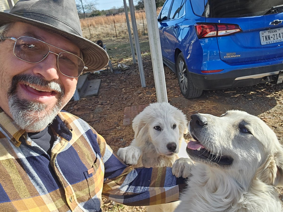 Dogs make the world a better place.