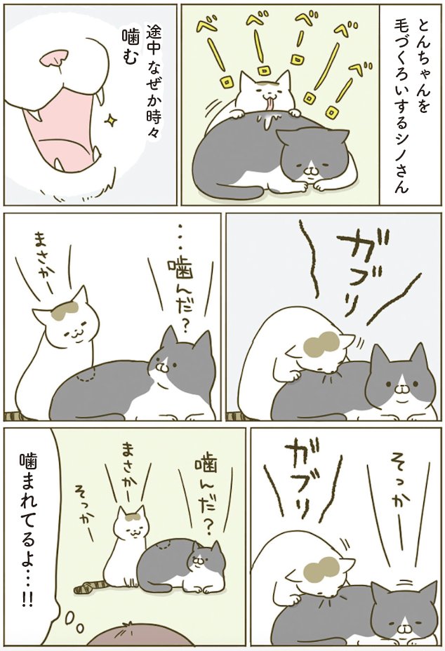 雨色 (@ameiro627) / Posts / X