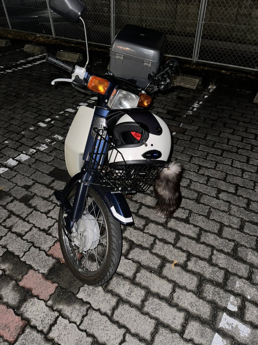 美品❗️直ぐにプレー可❗️VOLTRIC8OE-ture♦︎中上級者♦︎4U♦︎即購入OK STREETWEAR MALAYSIA 🔥 | *XLARGE STORE OSAKA JAPAN* 🇯🇵🔥 | Instagram