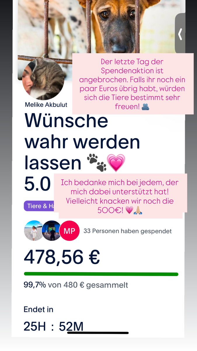 cheynooo's tweet image. Der letzte Tag der Spendenaktion ist angebrochen :) Falls ihr noch ein paar Euros übrig habt, würden sich die Tiere bestimmt sehr freuen! 💗🫂 Ich bedanke mich bei jedem der mich dabei unterstützt hat. Vielleicht knacken wir noch die 500€! 🙏🏼