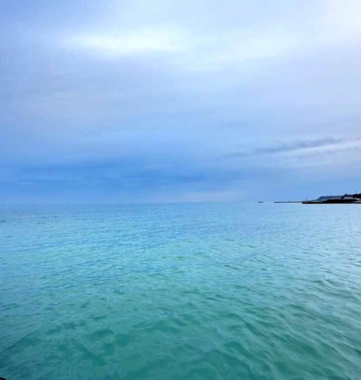 Катерина Галич tweet media