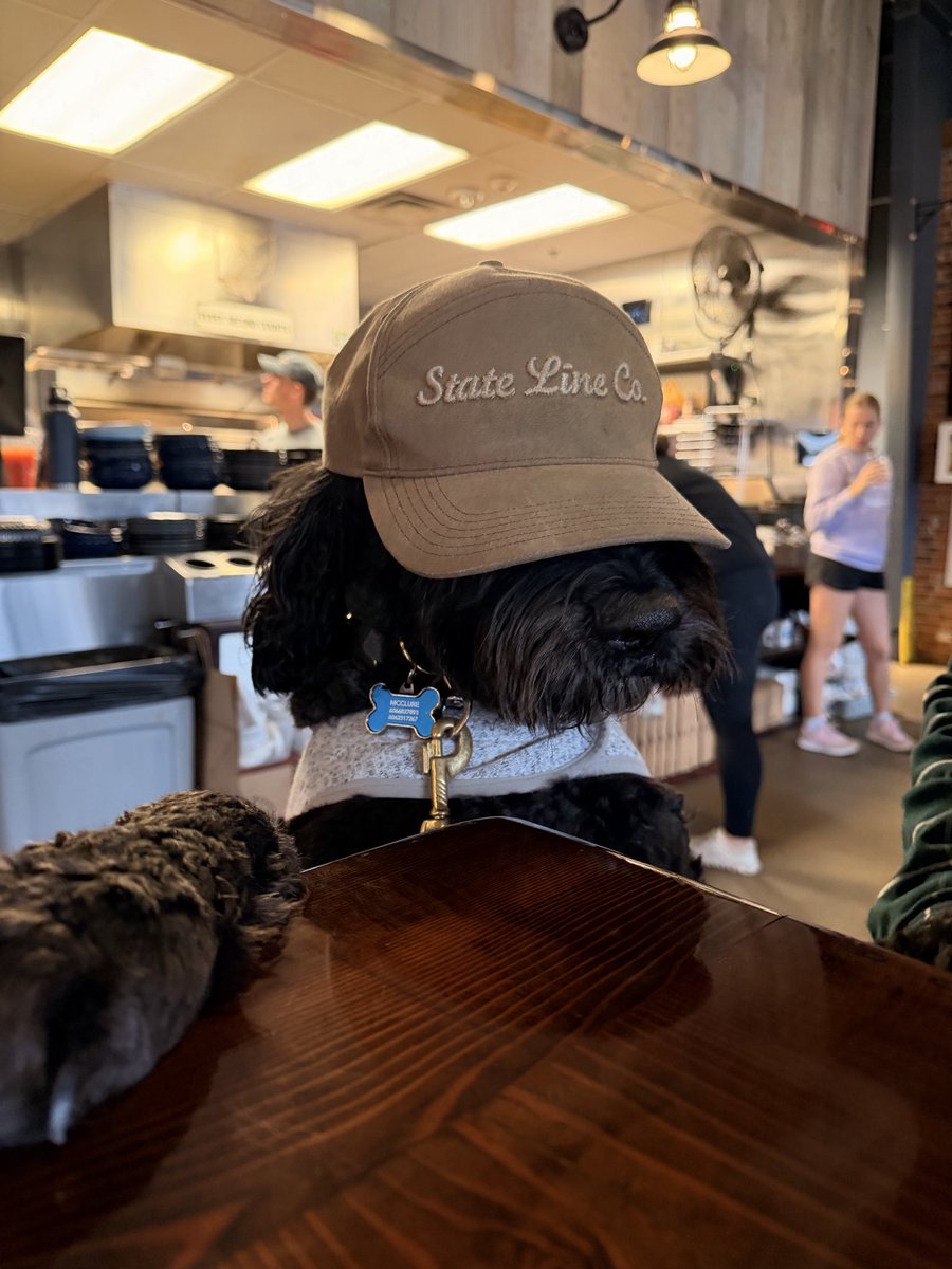 Jordan McClure tweet media