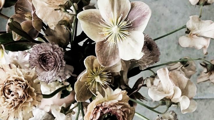 artbookswine's tweet image. ᅠᅠᅠᅠᅠᅠ
 ᅠᅠᅠᅠᅠᅠ
ᅠᅠᅠᅠᅠᅠ⠀⠀⠀⠀⠀𝑠𝑢𝑛𝑑𝑎𝑦
 ᅠᅠᅠᅠᅠᅠ