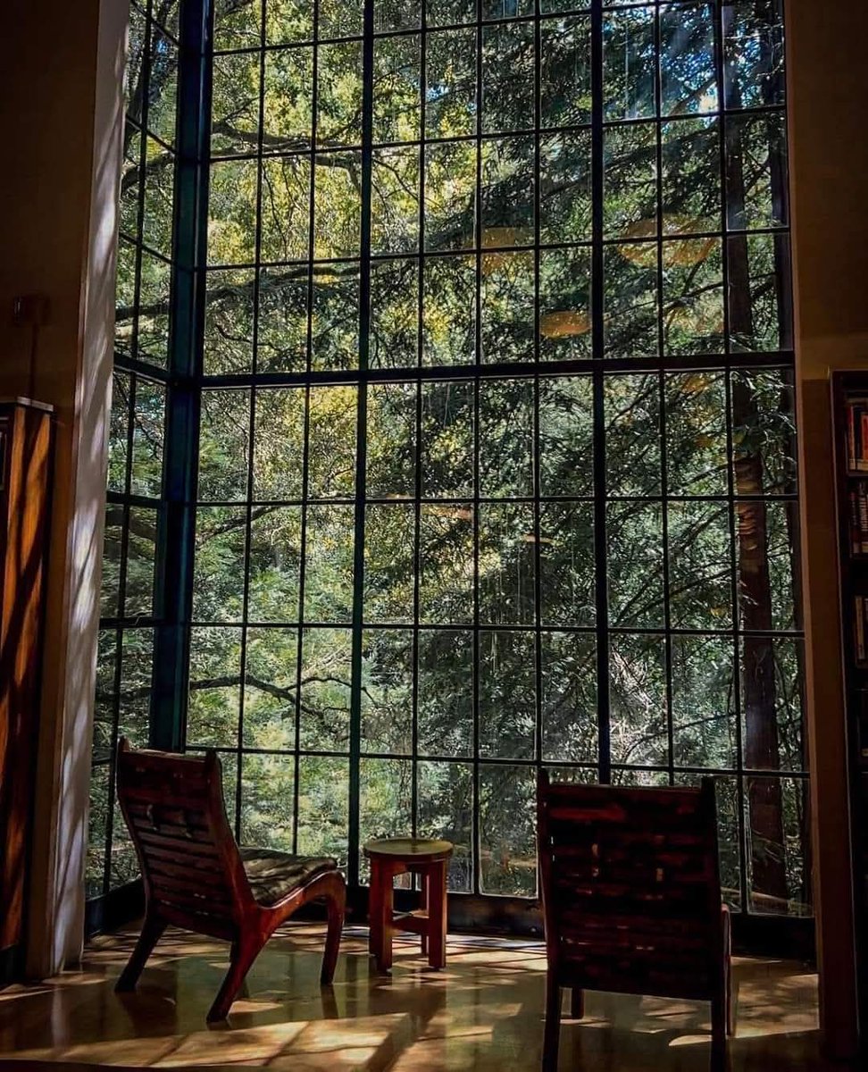 View from a window at the Mill Valley Public Library