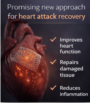 CoreNeuroHealth's tweet image. After a heart attack, surviving is only the first step — the real challenge is repairing heart muscle that doesn’t naturally regenerate. New research shows that a biomaterial heart patch can support healing by strengthening damaged tissue, improving electrical signaling