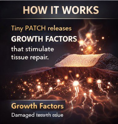 CoreNeuroHealth's tweet image. After a heart attack, surviving is only the first step — the real challenge is repairing heart muscle that doesn’t naturally regenerate. New research shows that a biomaterial heart patch can support healing by strengthening damaged tissue, improving electrical signaling