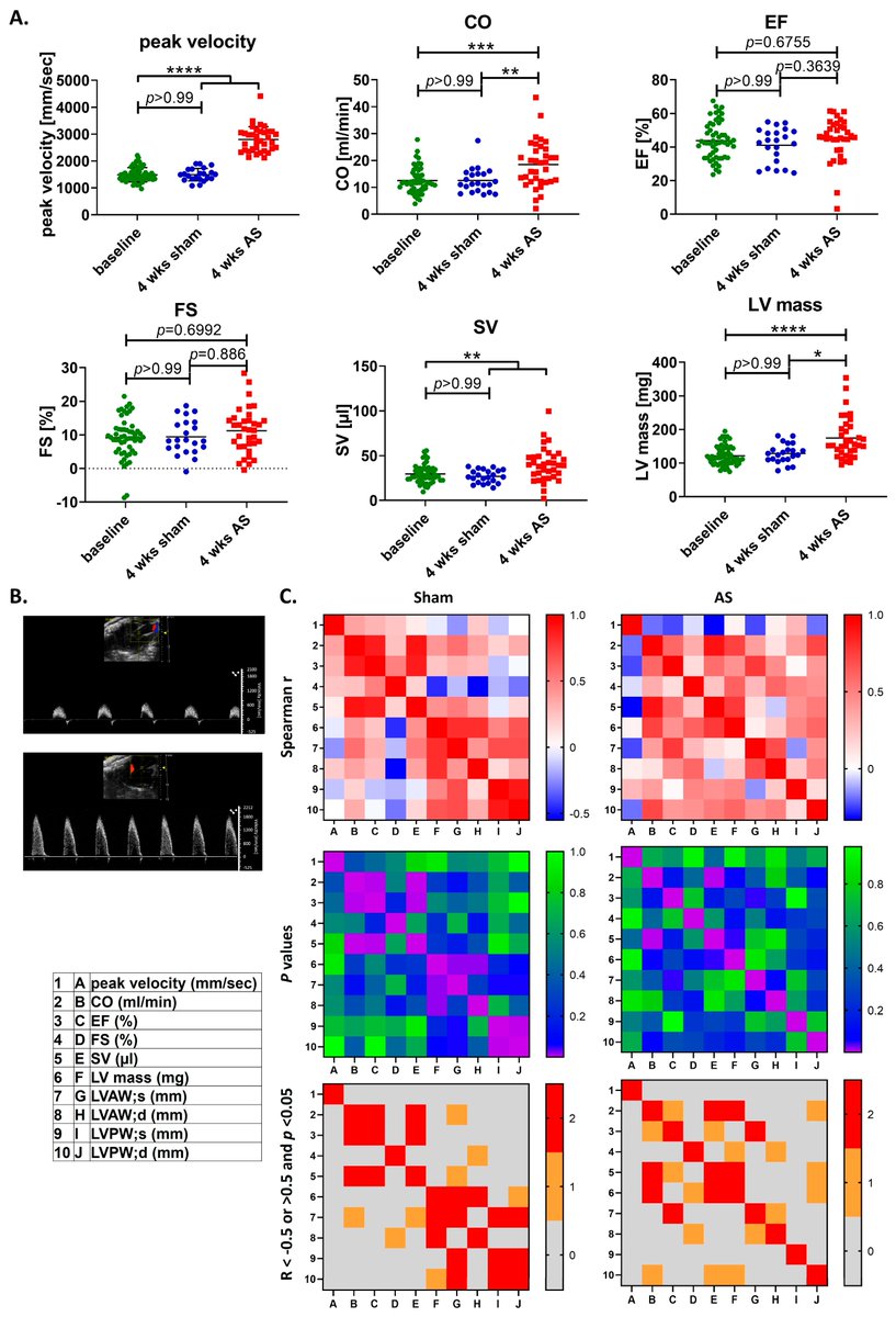Cells_MDPI's tweet image. 📢We hereby invite you to check out the paper published in #CellsMDPI!

💓 Wire Injury-Induced Moderate Aortic Valve Stenosis in Mice Is Accompanied by a Chronic Systemic Inflammatory Reaction

🔗 brnw.ch/21wZ08S

#CardiacRemodelling #CostimulatoryMolecules #Heart