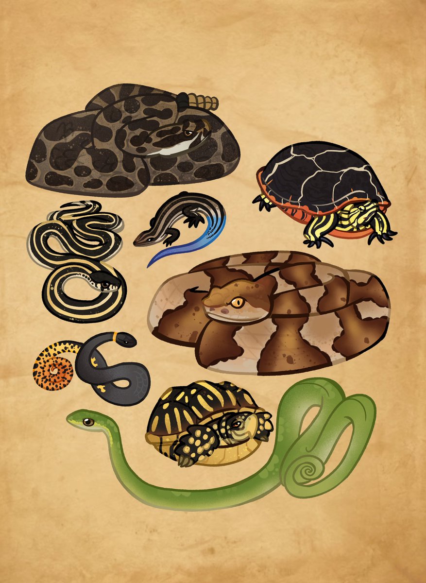 🌿MonsterFangs🌿 tweet media