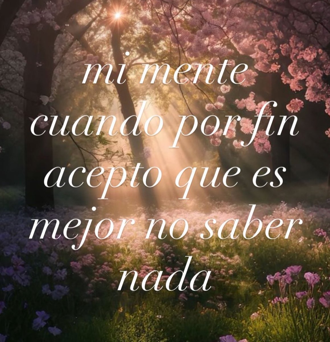 gyxwso's tweet image. 