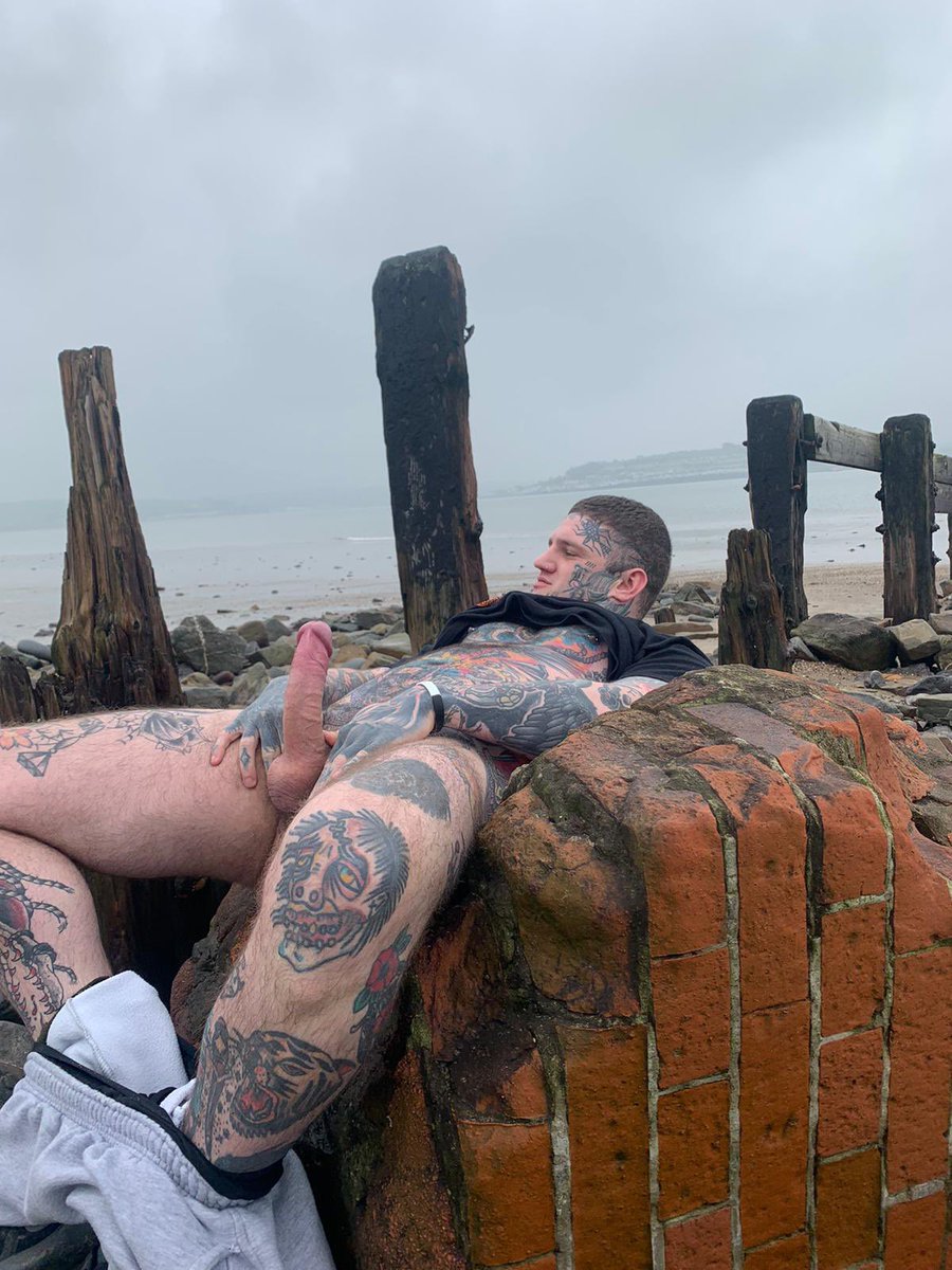 EVERGREEN🌲 tweet media