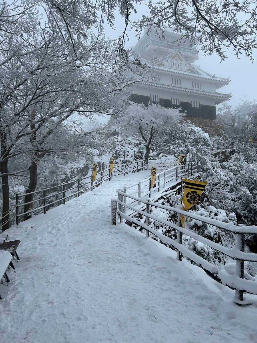 1月12日、今朝の岐阜城❄
今から雪かき行います！