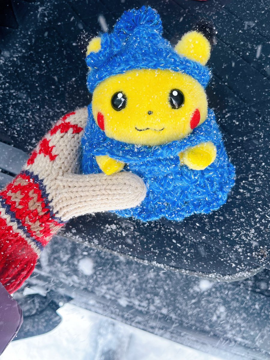 雪かきして、 夜勤明けのDを迎えに行くでちゅ☃️