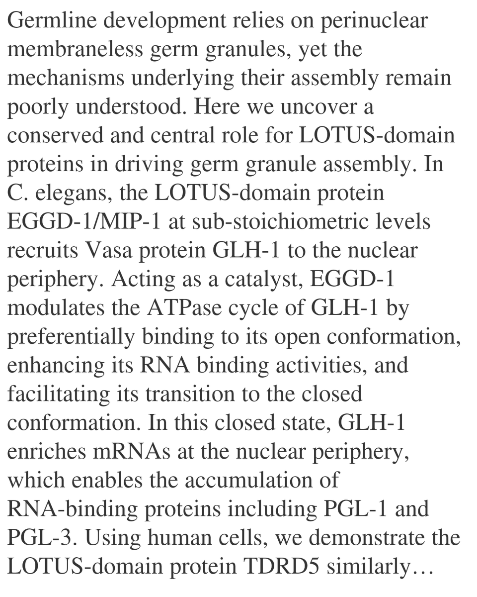 WFC's tweet image. LOTUS-domain proteins activate Vasa to drive germ granule assembly

Price, I. F., Wang, C., Tang, W.
biorxiv.org/content/10.648…