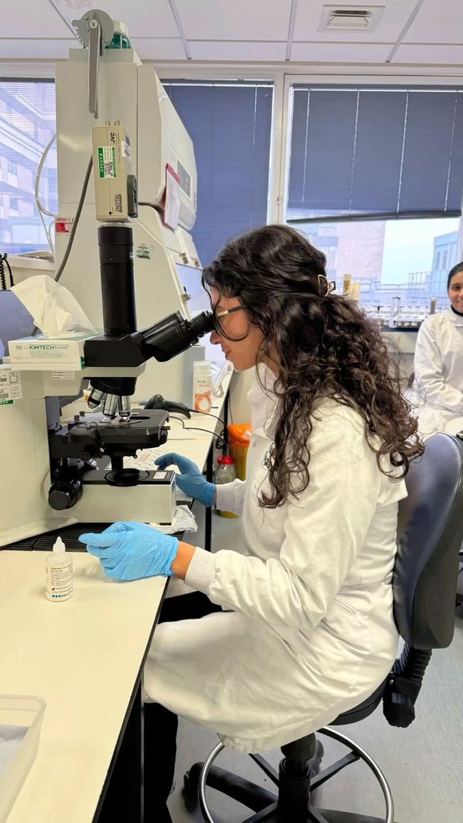 choquei's tweet image. 🚨BRASIL: Sobe para 4 o número de pacientes tetraplégicos ou paraplégicos que retomaram os movimentos após administração do medicamento experimental brasileiro polilaminina.