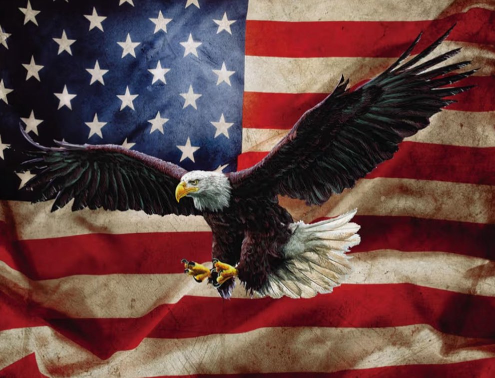 I am Iranian, born and raised in Tehran.

I studied at Iran’s top school, the one academics like to call the MIT of Iran. And still, in 2019, I had to leave. Not because I wanted to, but because the Islamic Republic made life unlivable and destroyed my homeland. If you weren’t