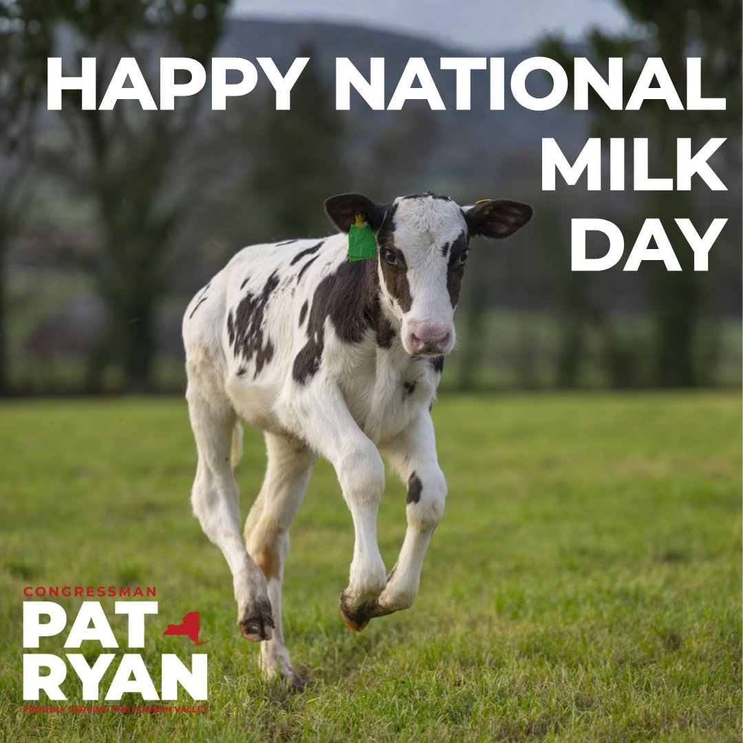 Rep. Pat Ryan tweet media