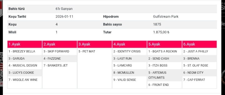 Salih takipçilerde paylaşarak hediye oldu 24.600 değerlendiren lere tebrikler