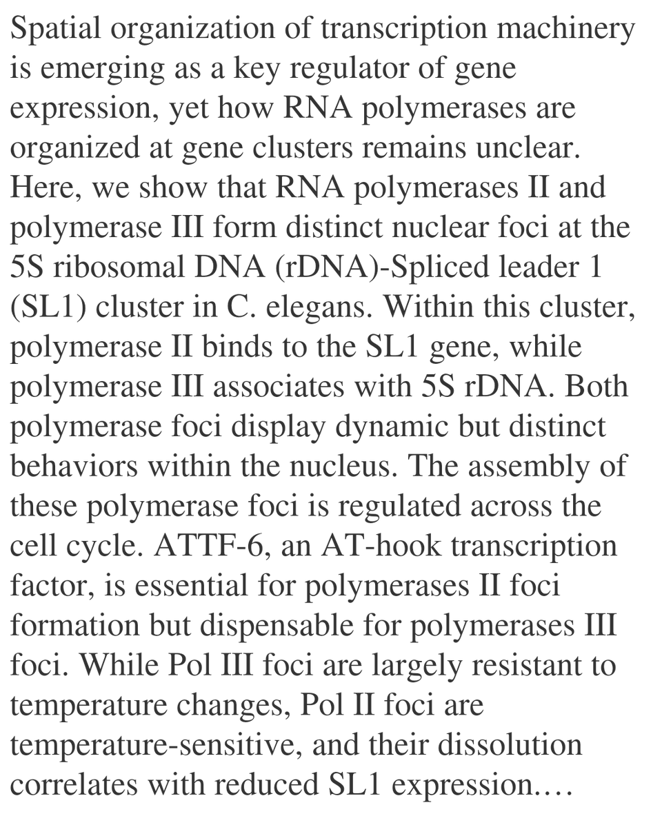 WFC's tweet image. Dynamic RNA Polymerase compartments organize the transcription of gene clusters

Wang, Y.-H., Hertz, H. L., Tang, W.
biorxiv.org/content/10.648…