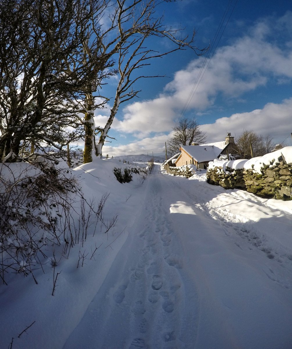 kathleen dawson (@kathleendawson9) on Twitter photo 