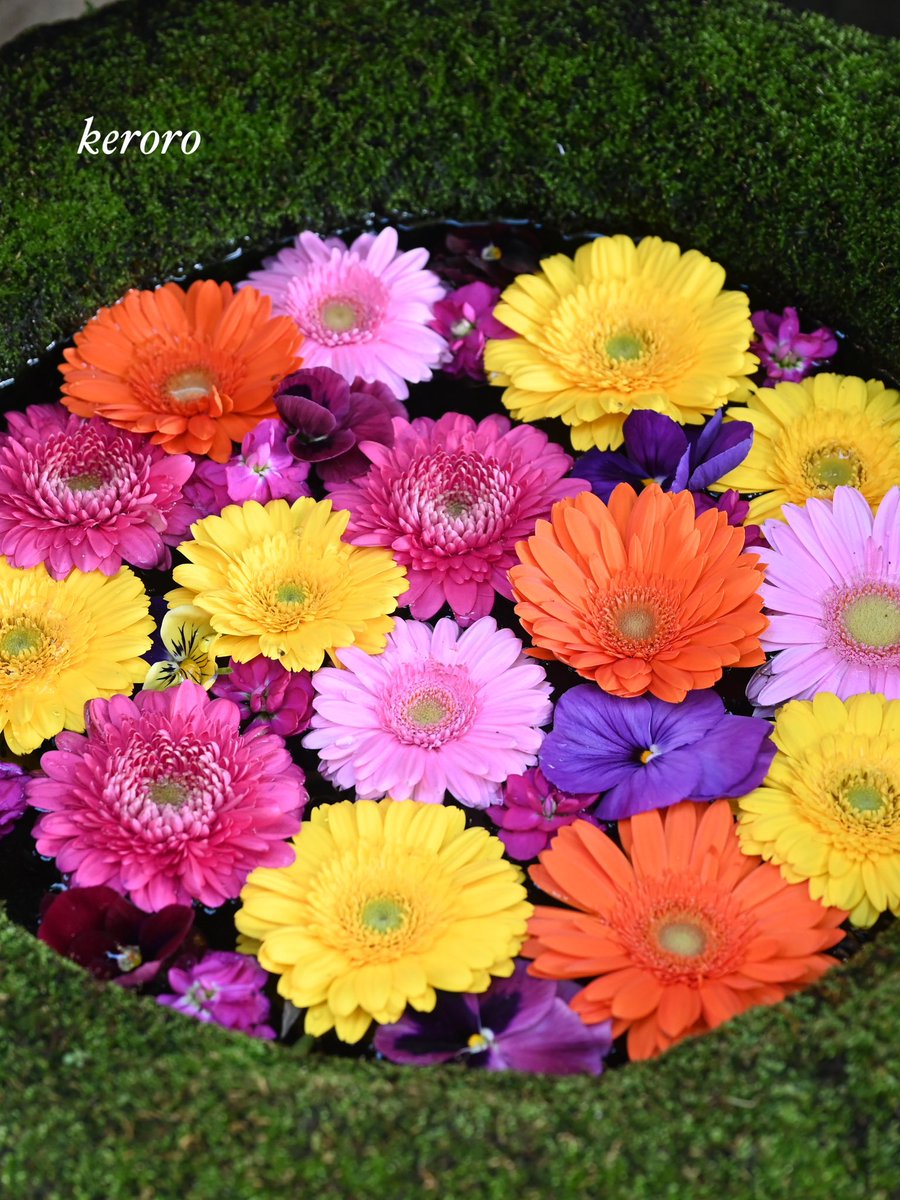 aki aki (@akiaki66697465) / Posts / X