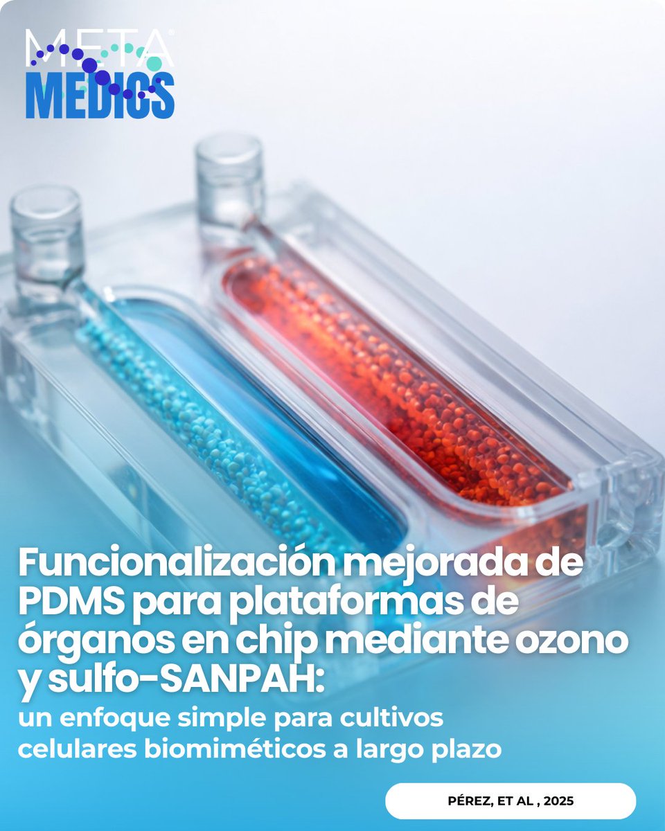Metamedicsmx's tweet image. PDMS en organ-on-a-chip suele ser hidrofóbico y dificulta adhesión. Un enfoque con ozono + sulfo-SANPAH vuelve la superficie más hidrofílica (hasta 20.8° con ECM) y sostiene cultivos bajo flujo. Fuente: doi:10.1002/adhm.202404686