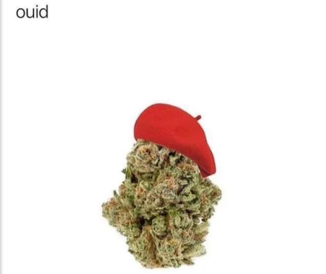 Stoner Barbie (@stonersvilla) on Twitter photo 