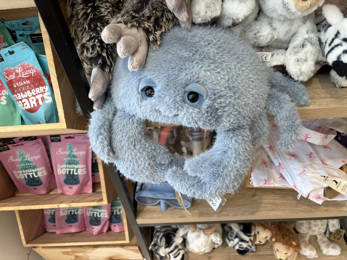 こいつは旅先で一目惚れしたぬいぐるみ。絶対欲しかったけどもう寝床に置けそうもないから諦めた。いつかこいつを100体並べられるくらいでっかいベッドを置きたいな。まずそういう部屋に住まなくてはいけない。