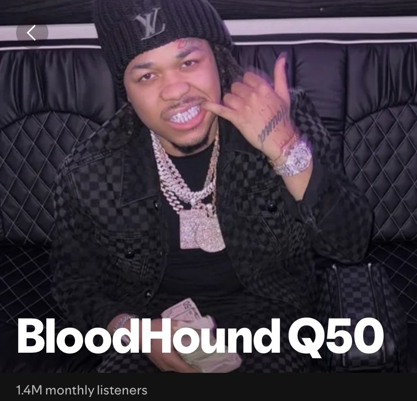 Bloodhound Q50 tweet media