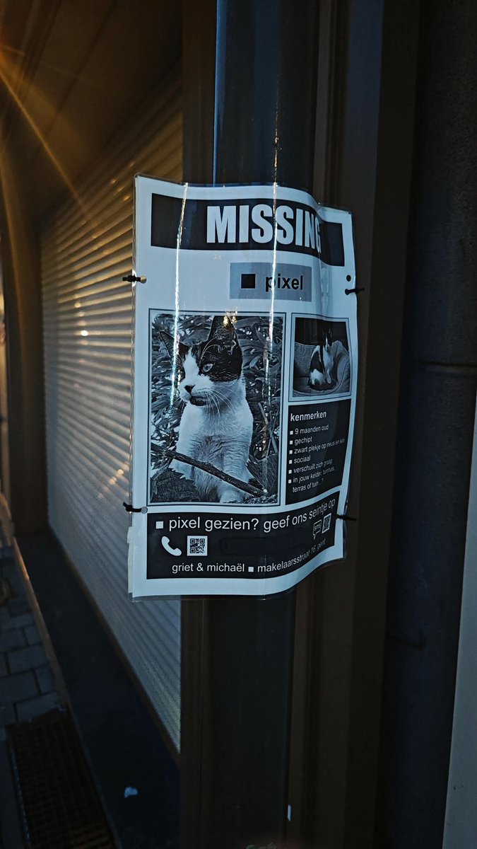 michaël rosseel tweet media