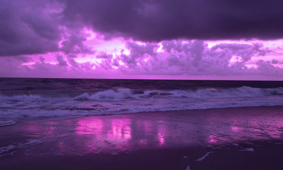 studio ghibli (@gardenofghibli) on Twitter photo 