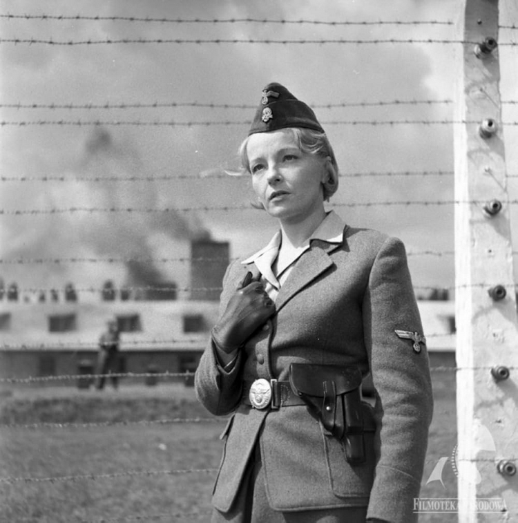 Наблюдатель✗ tweet media