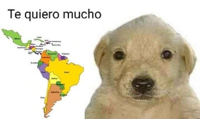 ar76300000's tweet photo. @JudeReyy Pensamos lo mismo del portugués https://t.co/h7YZO3Qbx2