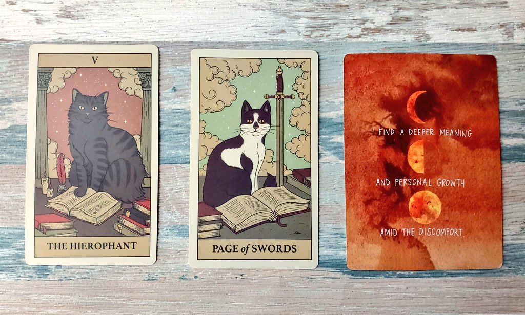 月曜なので… 今週のカード🃏

タロット
「いつかやりたい」と思っていたことに、向き合ってみると良い週。

オラクルカード
不快さや違和感の中にこそ、より深い意味と個人的な成長がある。

アファメーション
（声に出すと少しhappyになれるよ）