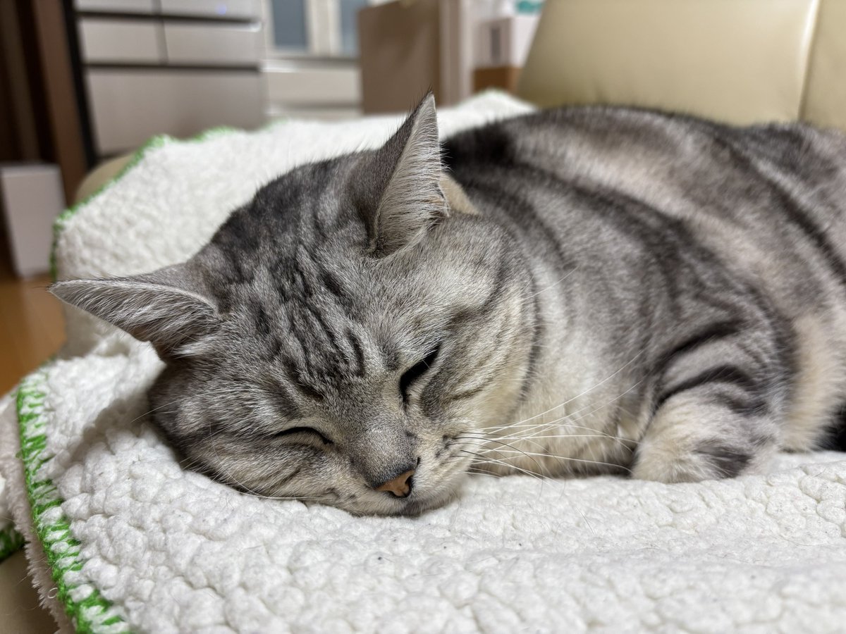 みふゆ(三冬) (@mifuyu_916) / Posts / X