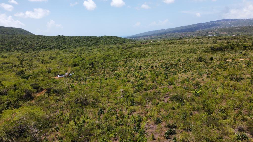 LAND

Litits, Manchester
5 acres
19.5 million JMD or $86 per sq/ft

Link: landandlegacyja.com/properties/78-…

Join our community to stay updated: whatsapp.com/channel/0029Vb…